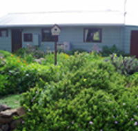 Engadine Cottage - Tourism Noosa