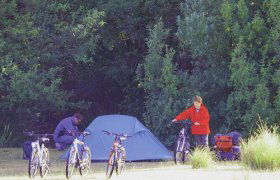 Maria Island TAS Tourism Noosa