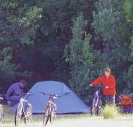 Maria Island Camping Ground - Tourism Noosa