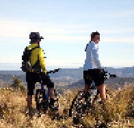 Twin Lakes Trout Fishery - Tourism Noosa