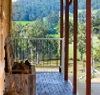 Manfield - Tourism Noosa