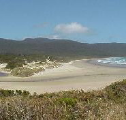 Cloudy Bay Cabin - Tourism Noosa