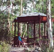 Telopea - Tourism Noosa
