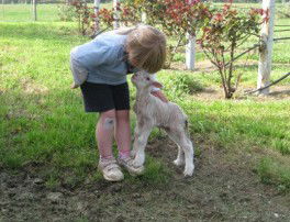 Taras Richmond Farmstay - Tourism Noosa 3