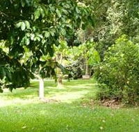 Kingfisher Park Birdwatchers Lodge - Tourism Noosa