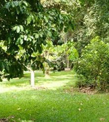 Kingfisher Park Birdwatchers Lodge - Tourism Noosa 0
