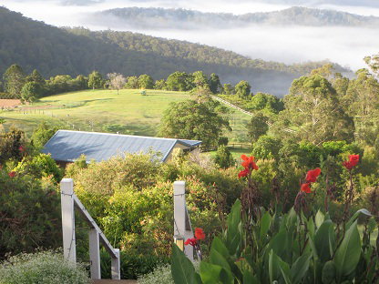 Blue Summit Cottages - Tourism Noosa 5