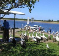 Mountain View Caravan and Mobile Home Village - Tourism Noosa