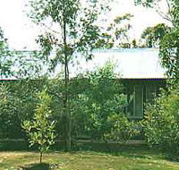 Wonga - Tourism Noosa