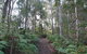Maleny Country Cottages - thumb 1