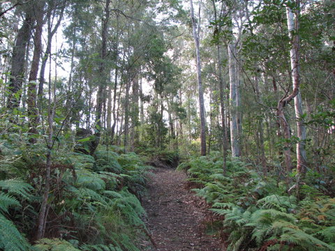 Maleny Country Cottages - Tourism Noosa 1