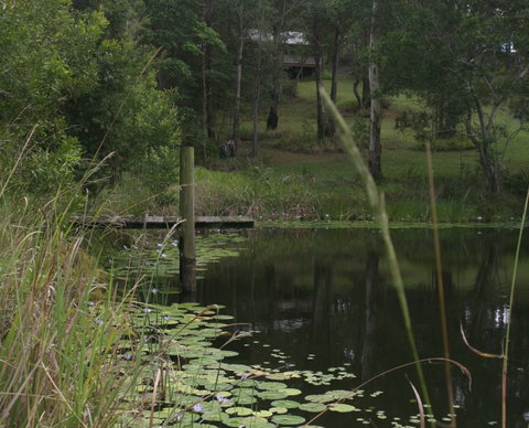 Maleny Country Cottages - Tourism Noosa 4