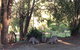 Maleny Country Cottages - thumb 5