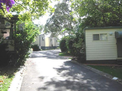 Palm Beach Caravan Park - Tourism Noosa 0