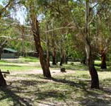 Woods Reserve - Tourism Noosa