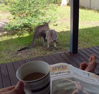 Bush and Bay Cottage - Tourism Noosa