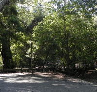 Booderee National Park Green Patch camping area - Tourism Noosa