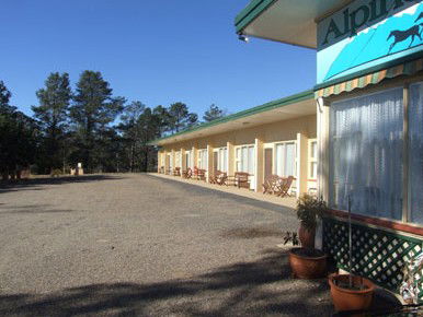 Alpine Country Motel - Tourism Noosa 2