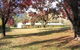 Talbingo Mountain Retreat - thumb 4