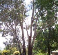 The Church House B and B - Tourism Noosa