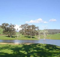 Hillview Farmstay - Tourism Noosa