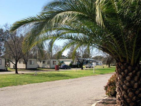 Leeton Caravan Park - Tourism Noosa 1