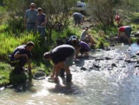 Bullock Mountain Homestead - Tourism Noosa 1
