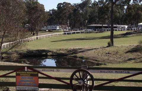 Bullock Mountain Homestead - Tourism Noosa 4