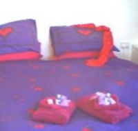 Aloomba Lavender - Accommodation - Tourism Noosa