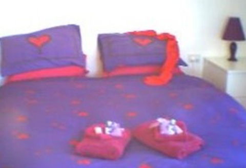 Aloomba Lavender - Accommodation - Tourism Noosa 0