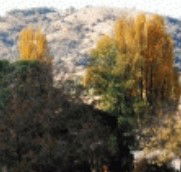 Birches Bed and Breakfast at Nundle - Tourism Noosa