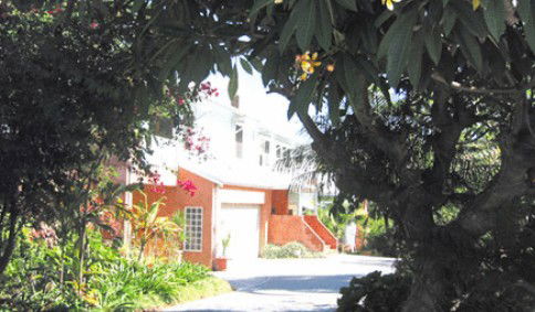 Austinmer NSW Tourism Noosa