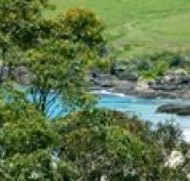 Aqua Bamboo - Tourism Noosa