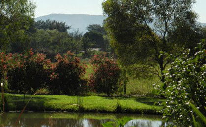 Amazing Country Escapes - Evanslea By The River - Tourism Noosa 4