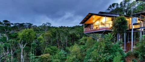 OReillys Mountain Villas - Tourism Noosa 1