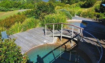 OReillys Rainforest Retreat - Tourism Noosa 4