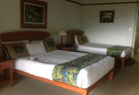 OReillys Rainforest Retreat - Tourism Noosa 5