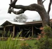 The Hollow Log Country Retreat - Tourism Noosa