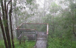 Eagles Rest Retreat - Tourism Noosa 4