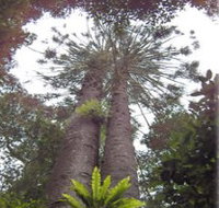 Moorlands Country Retreat - Tourism Noosa