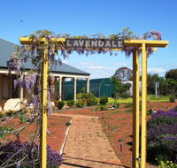 Lavendale Farmstay and Cottages - Tourism Noosa