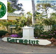 Carmelot Bed  Breakfast - Tourism Noosa