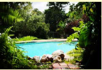Gumnut Glen Cabins - Tourism Noosa 0