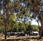 Barracrab Caravan Park - Tourism Noosa