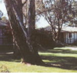 Winbi River Resort - Tourism Noosa