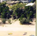 Riviera Resort - Tourism Noosa