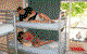 Globetrotters Budget Accommodation - thumb 3