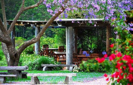 Bago Vineyards - Tourism Noosa 1