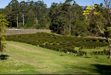 Bago Vineyards - Tourism Noosa 2