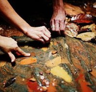 Daintree Eco Lodge And Spa - Tourism Noosa